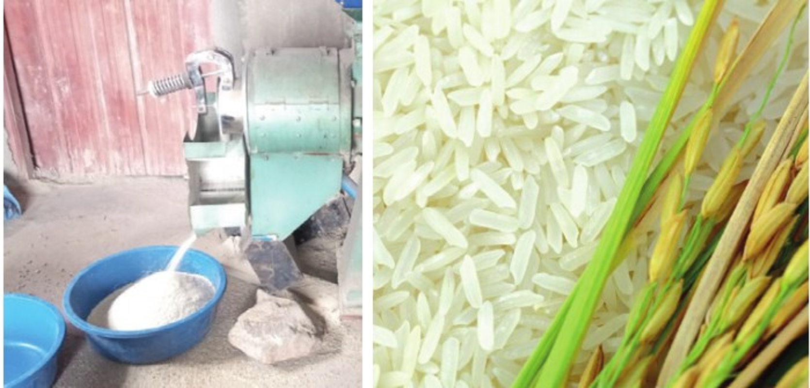 God's Care Rice Processors
